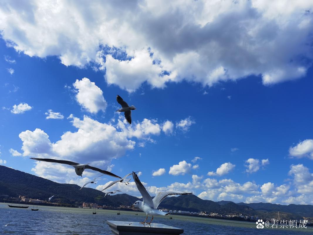 碧海银艇