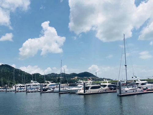 乘风破浪，掌控蔚蓝 大鹏游艇会出海预订全指南